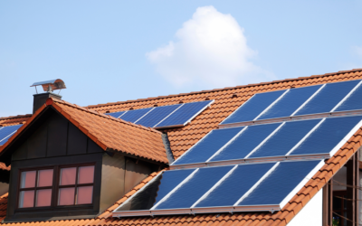 What Are The Different Types of Solar Panels and Which Solar Panels Are The Best?