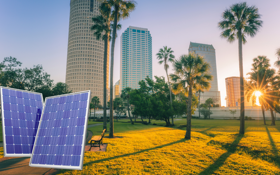 Benefits of Switching to Solar Power in Tampa Bay